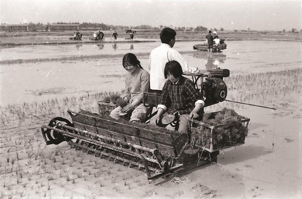 1973年，六安地区农机研究所,为推广六安专区农业机械化，从江浙引进农田栽秧机械。图为该所工人在寿县农村实地试验机械栽秧的情景。