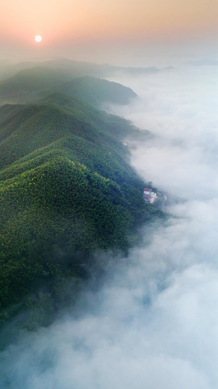 霍山大林竹海.jpg