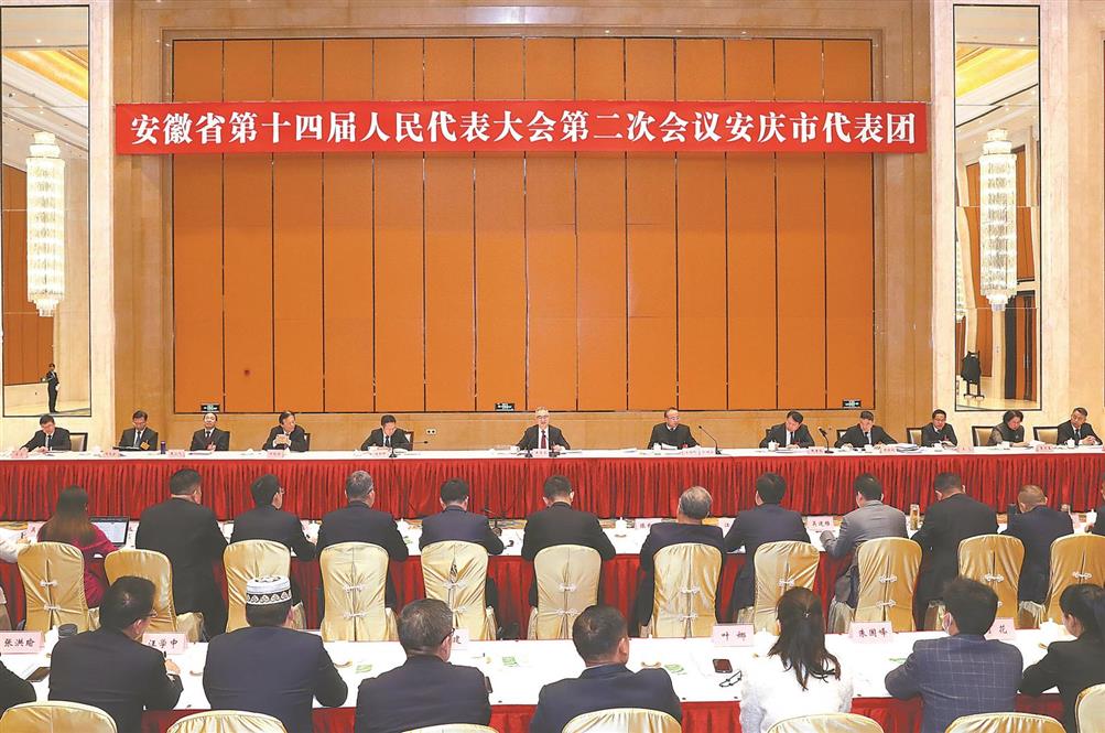 王清宪先后参加安庆、淮南代表团审议