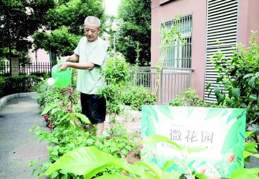 闲置边角地变身“微花园”