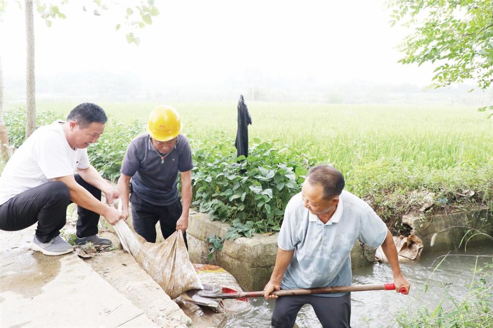 600亩稻田及时“解渴”