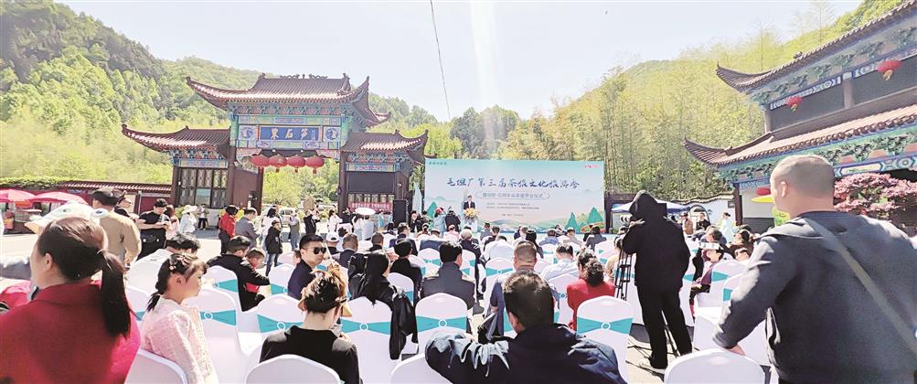 春有约 茶不误——金安区毛坦厂镇着力打造茶旅融合新业态纪实