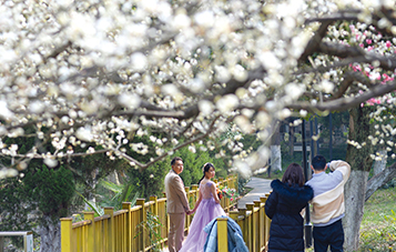一对新人在六安市城区九墩塘公园拍摄婚纱照