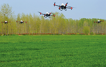 农用直升机、10余台植保无人机交叉对大面积小麦种植区域进行统防统治作业