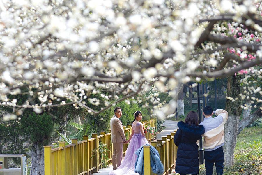 一对新人在六安市城区九墩塘公园拍摄婚纱照，亲近自然。.jpg
