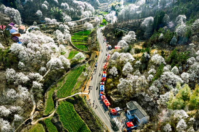 跟着节气游六安｜即向春山寻新境