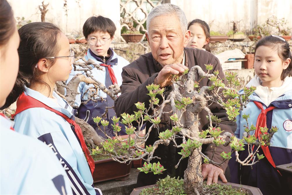 研学盆景技艺感受非遗魅力