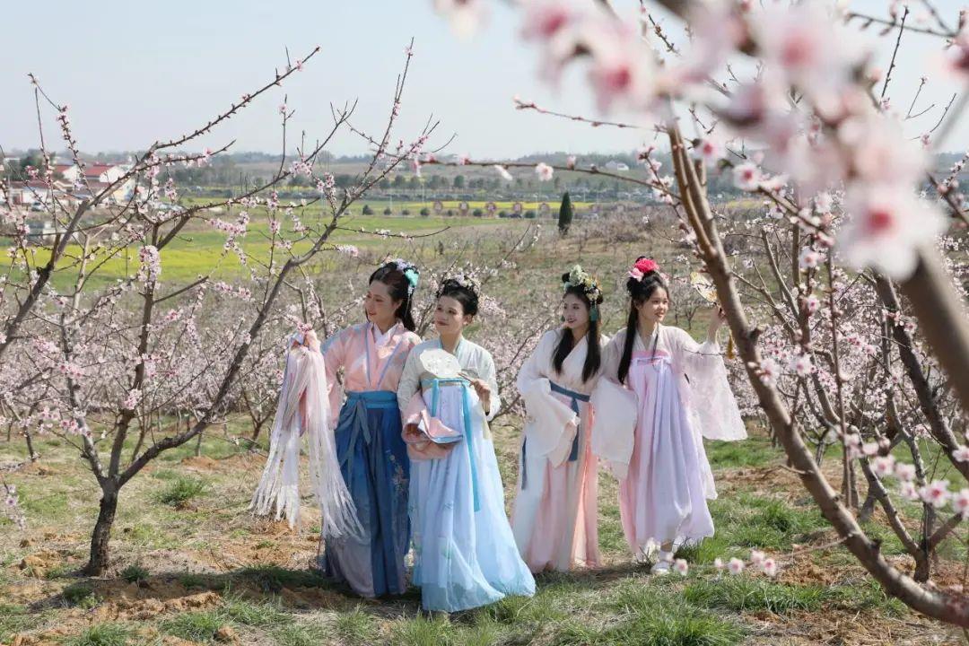 桃花节期间,市民身着汉服打卡游览桃花园。金安区委宣传部供图