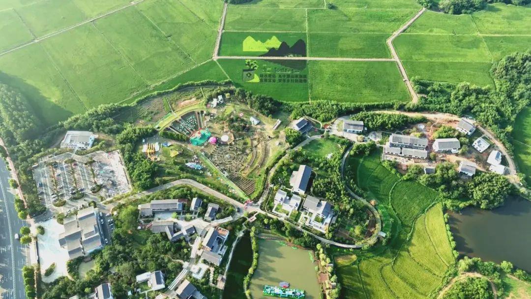俯瞰金安区南山南·梦享村。受访者供图