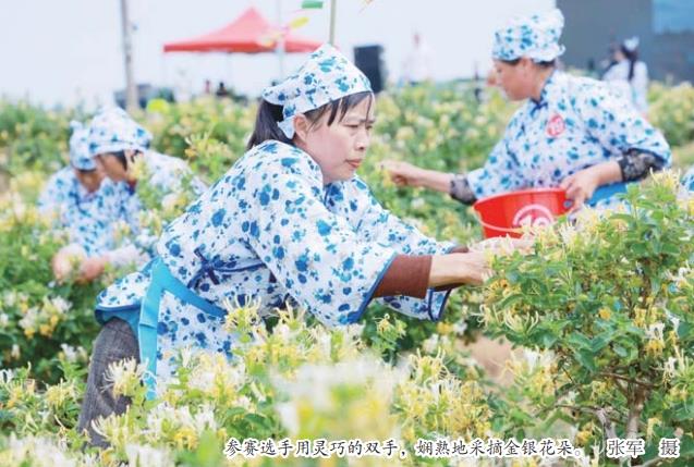 一朵花的“经济密码”