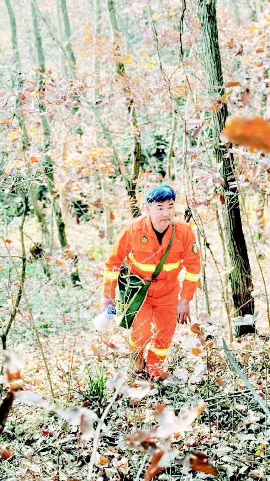 01_01_13630 01_01_13630.jpg